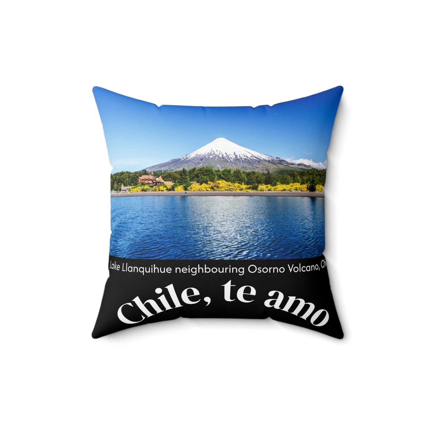 Decorative Pillow - Black tone - Chilean Art