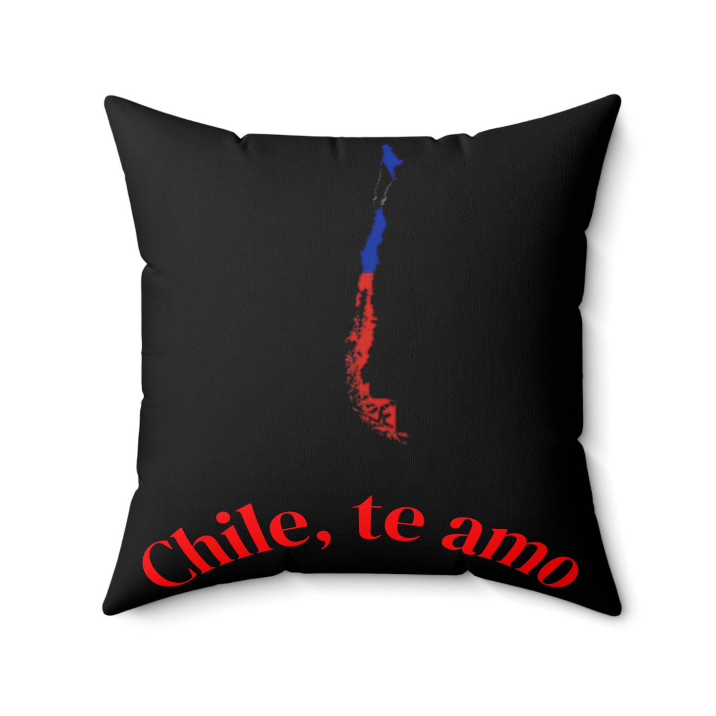 Decorative Pillow - Black tone - Chilean Art