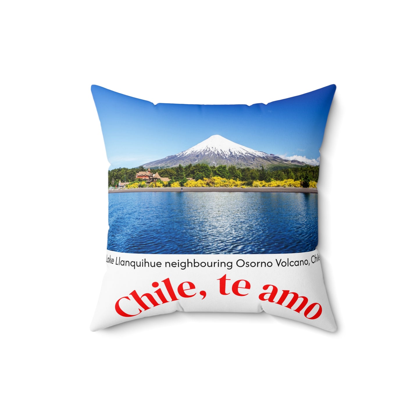 Decorative Pillow - White tone - Chilean Art