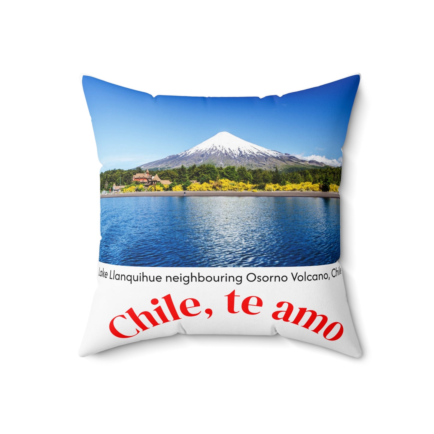 Decorative Pillow - White tone - Chilean Art