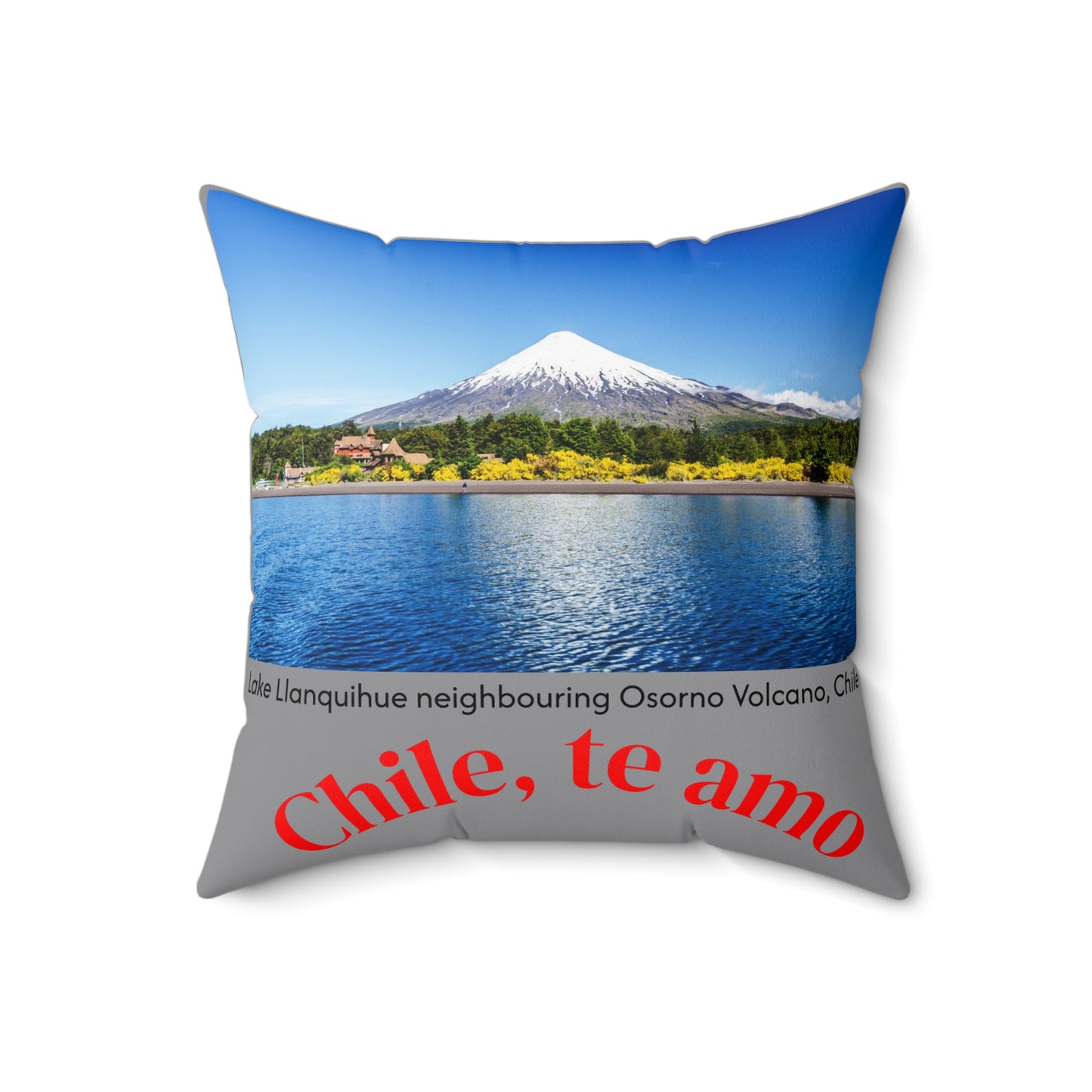 Decorative Pillow - Grey tone - Chilean Art