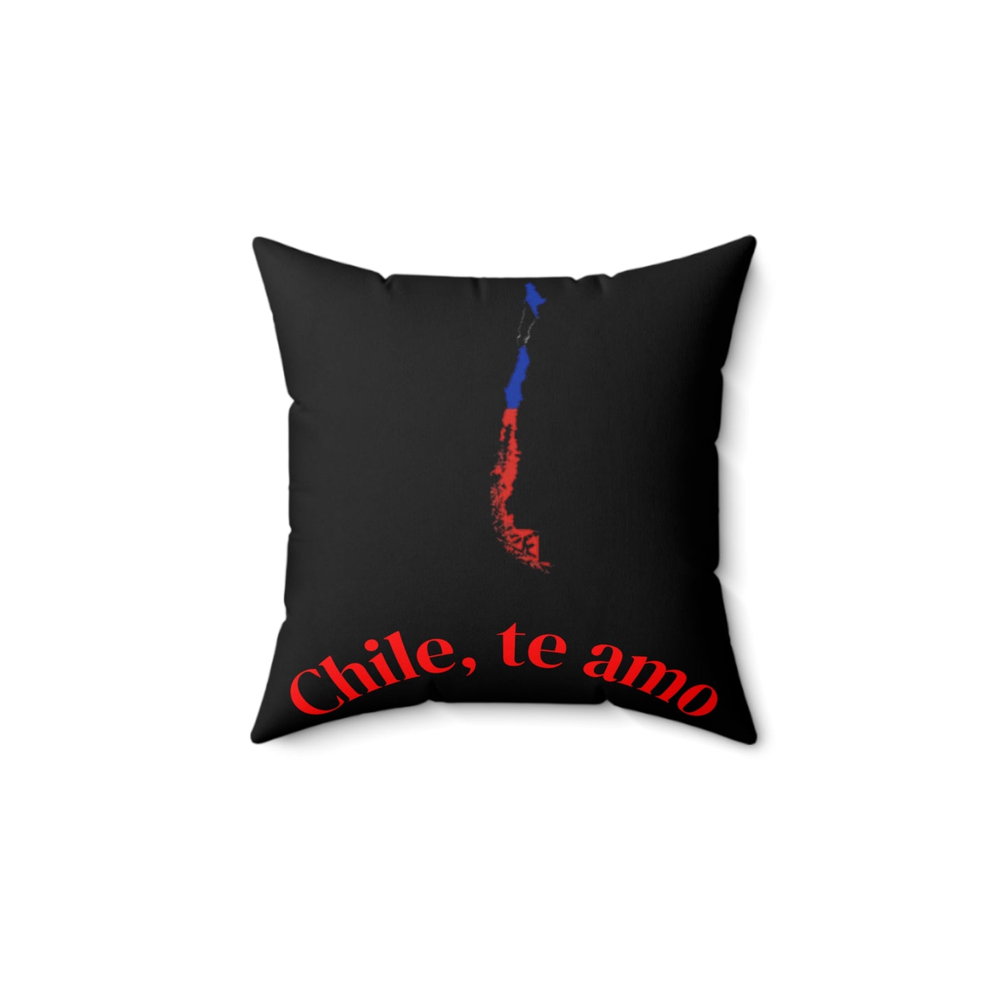 Decorative Pillow - Black tone - Chilean Art