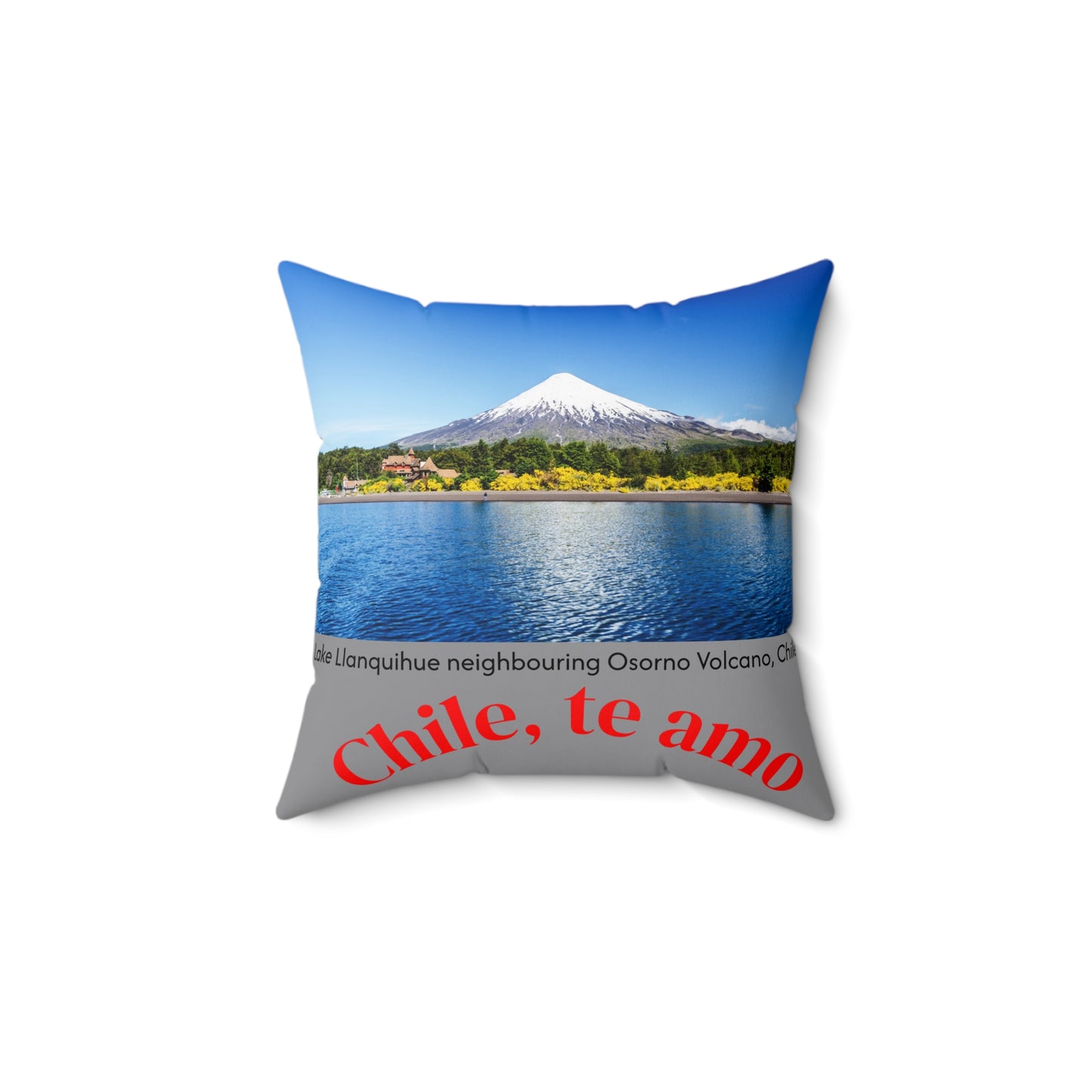 Decorative Pillow - Grey tone - Chilean Art