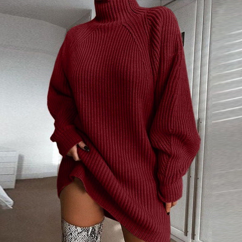Turtleneck Long Sweater - Women Winter Dress