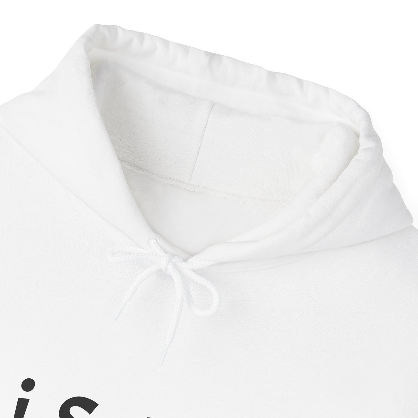 Heavy Blend Hoodie Sweatshirt