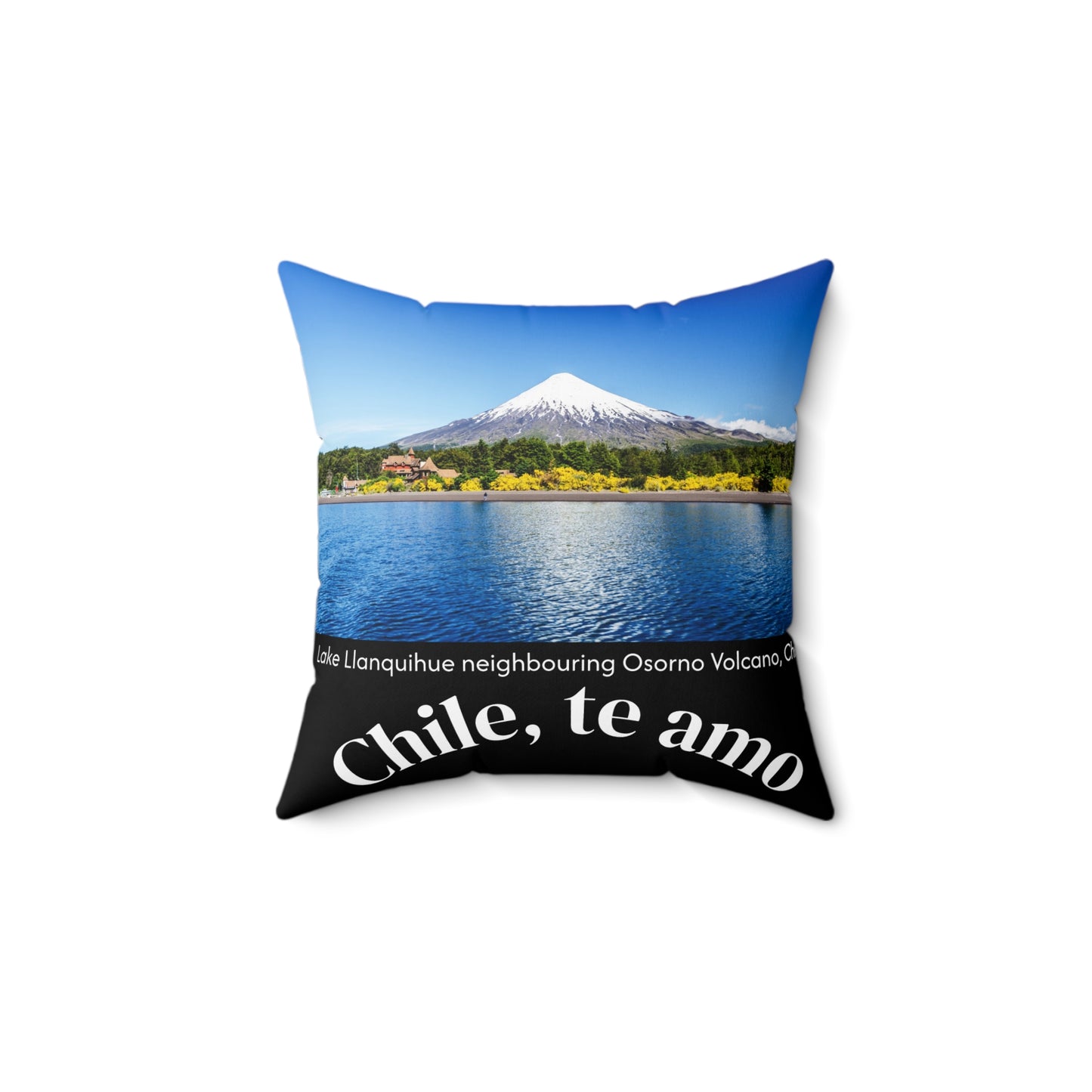 Decorative Pillow - Black tone - Chilean Art