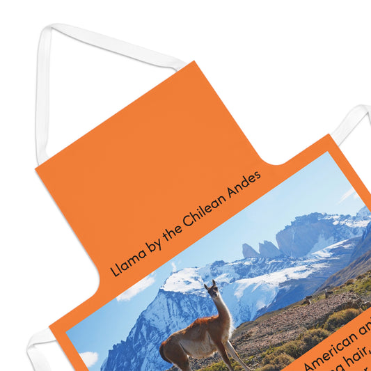 Apron - Orange tone