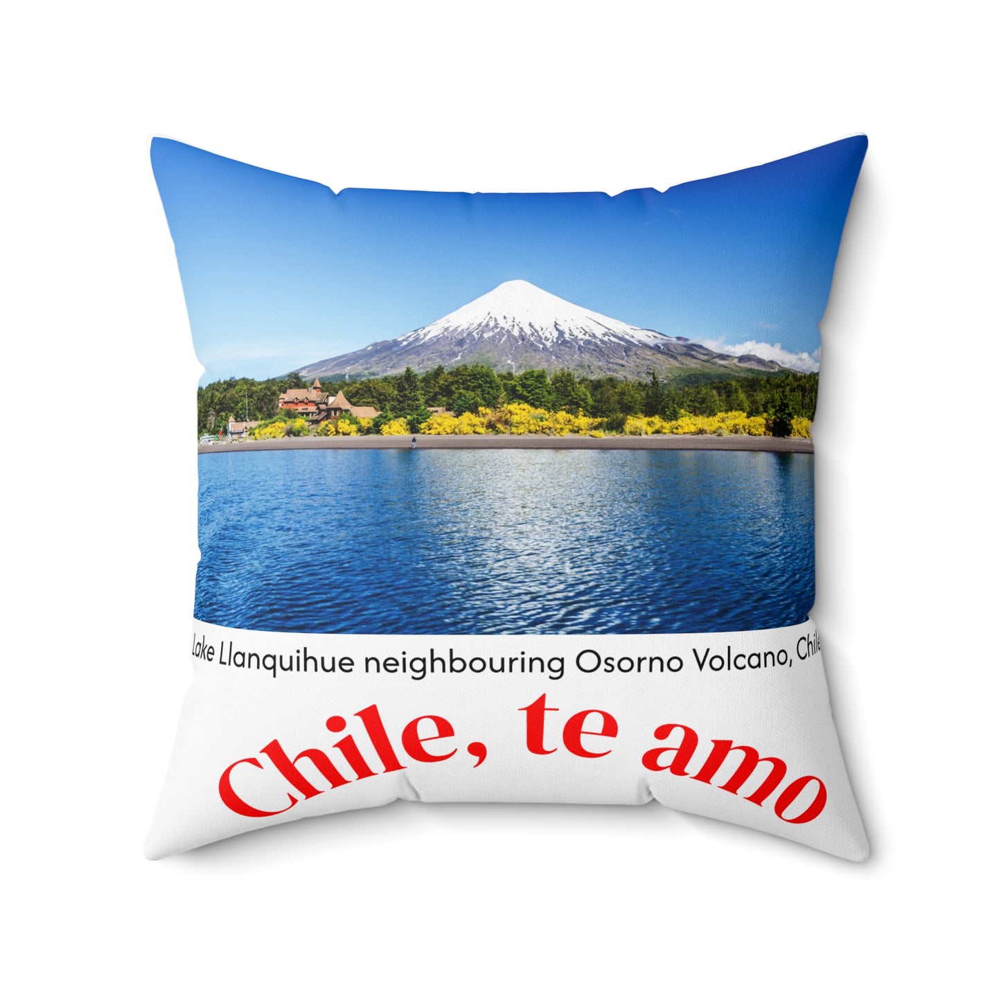 Decorative Pillow - White tone - Chilean Art