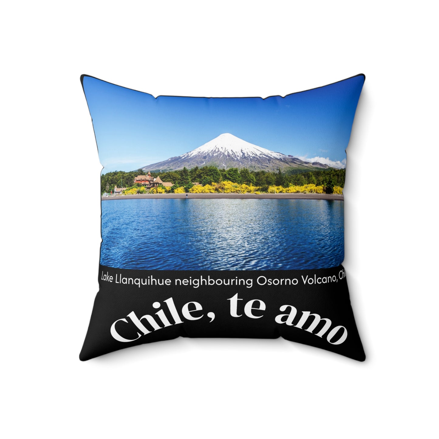 Decorative Pillow - Black tone - Chilean Art