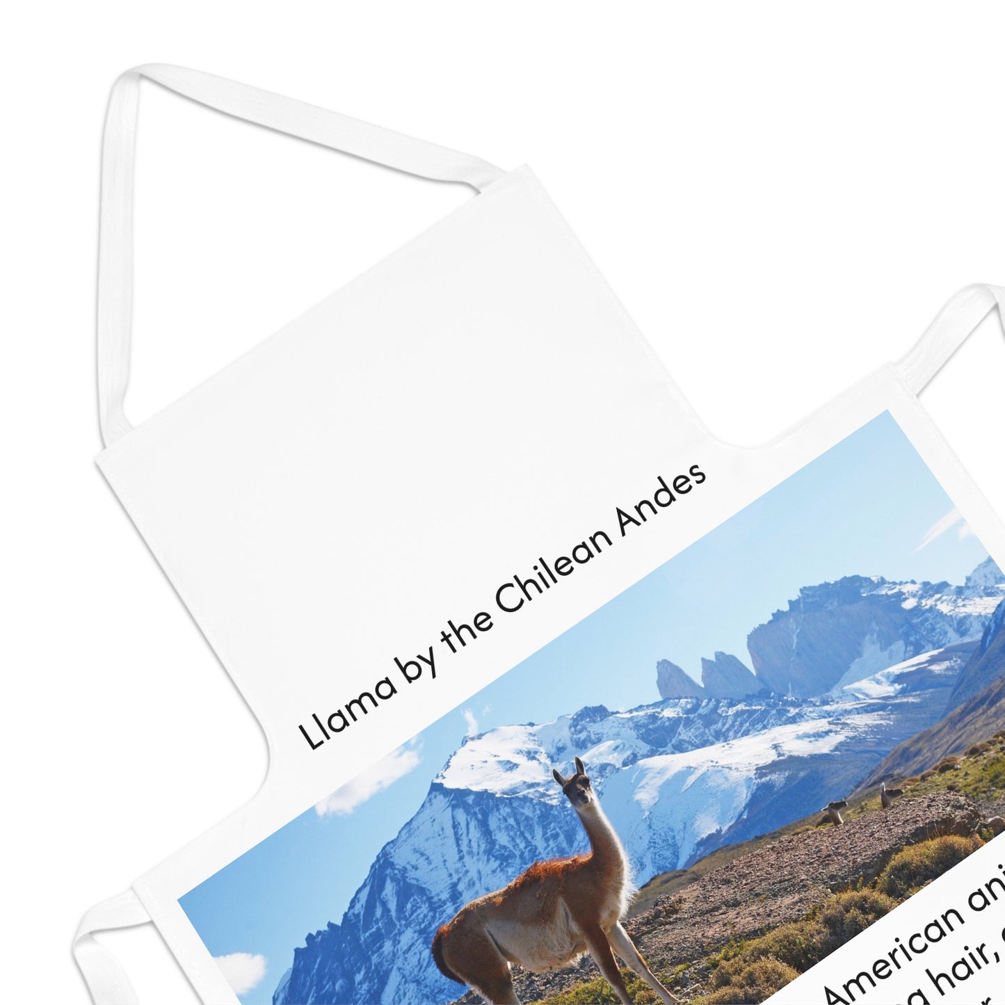 Apron - White - Llama inspired