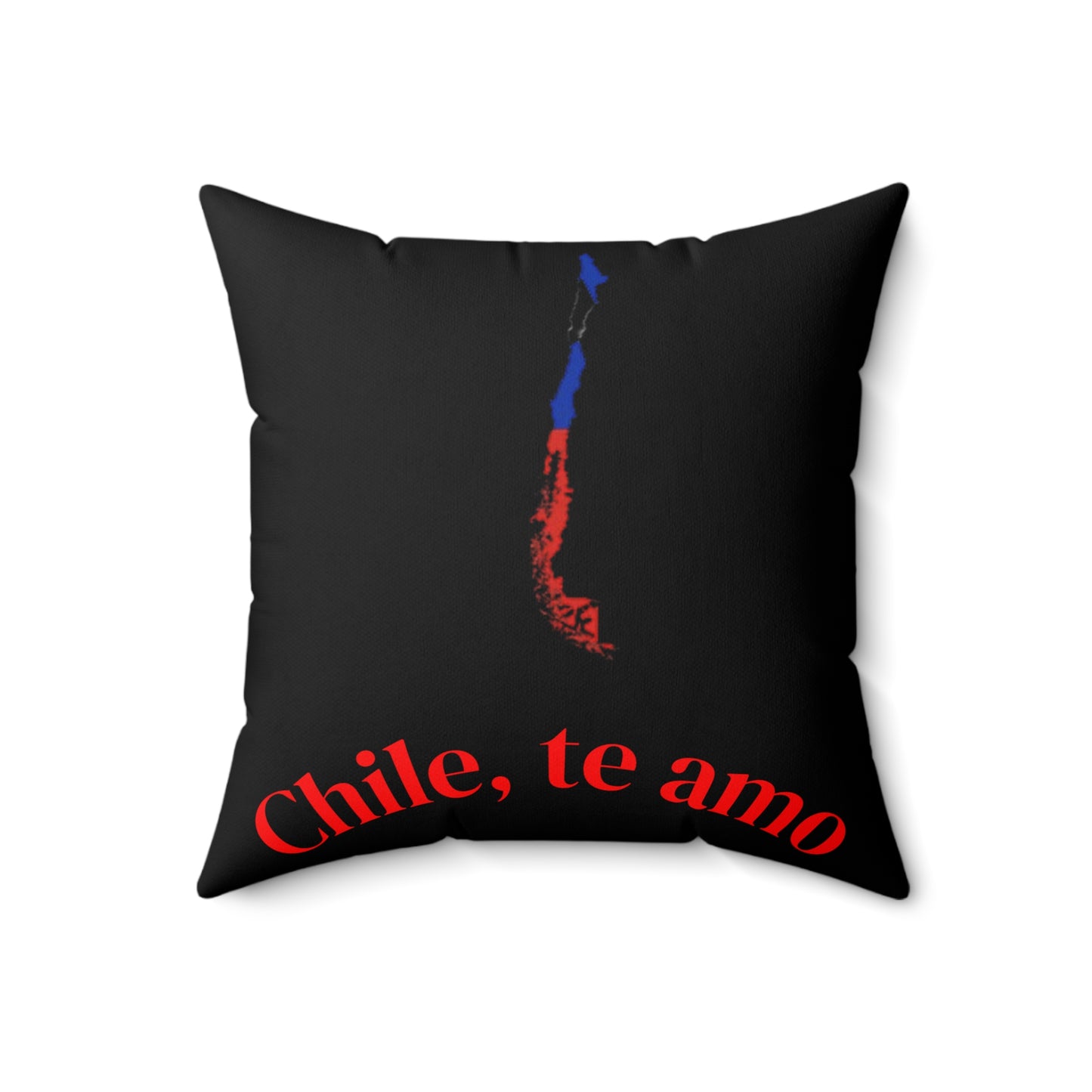Decorative Pillow - Black tone - Chilean Art