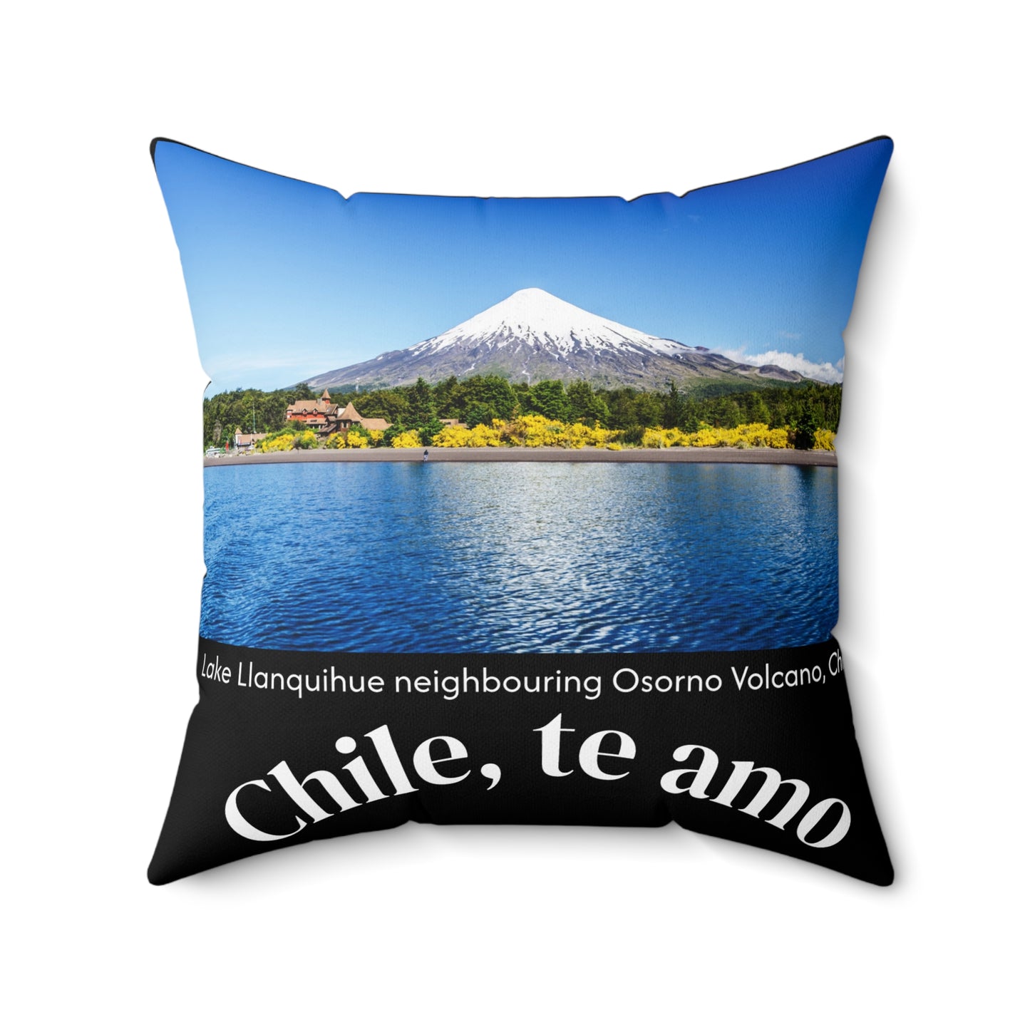 Decorative Pillow - Black tone - Chilean Art