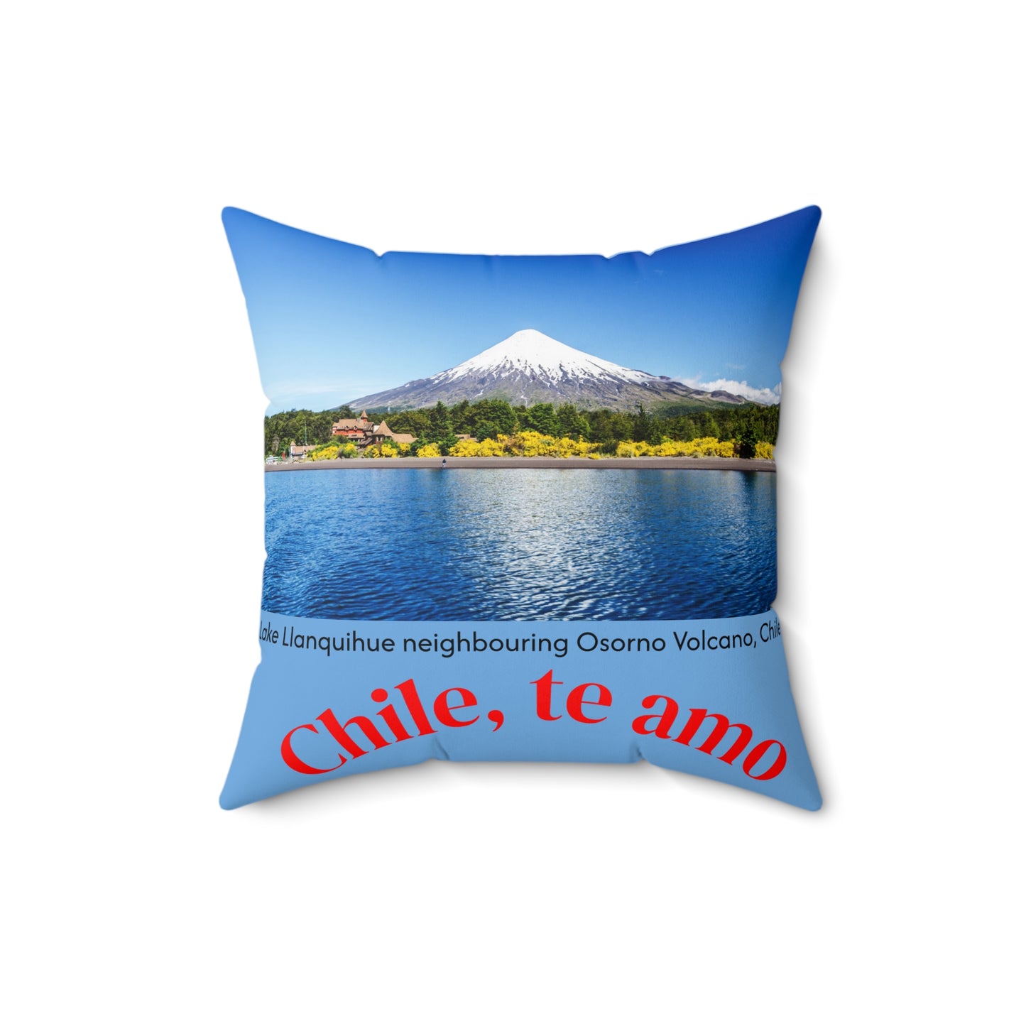 Decorative Pillow - Blue tone - Chilean Art