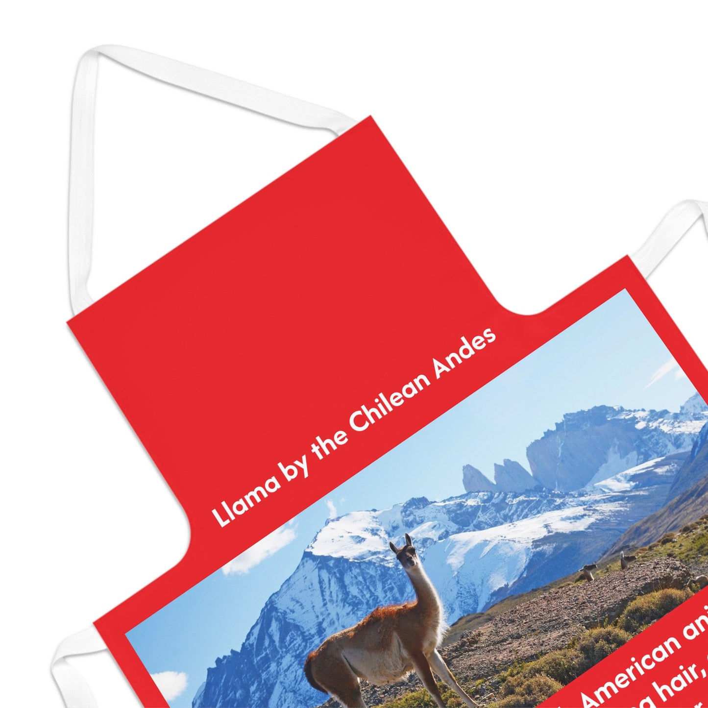 Apron - Red Love Apron