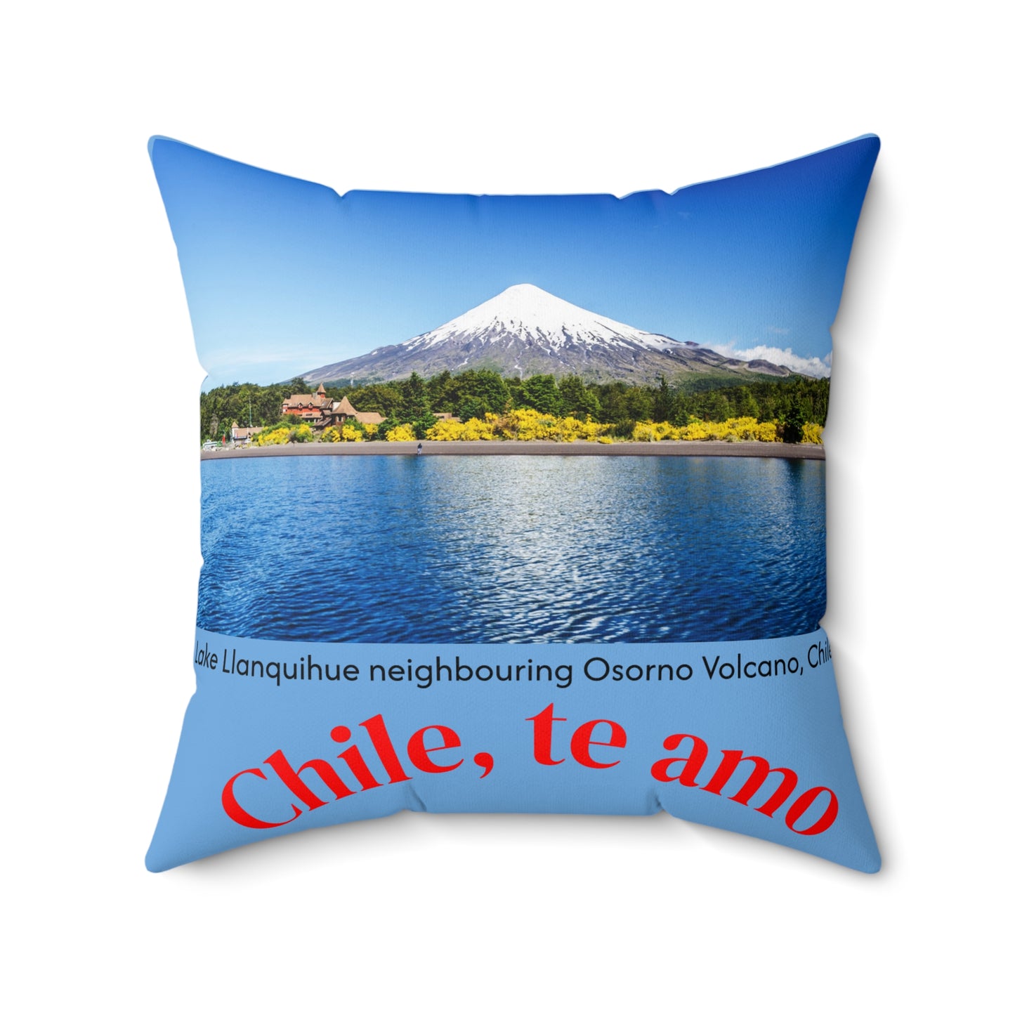 Decorative Pillow - Blue tone - Chilean Art