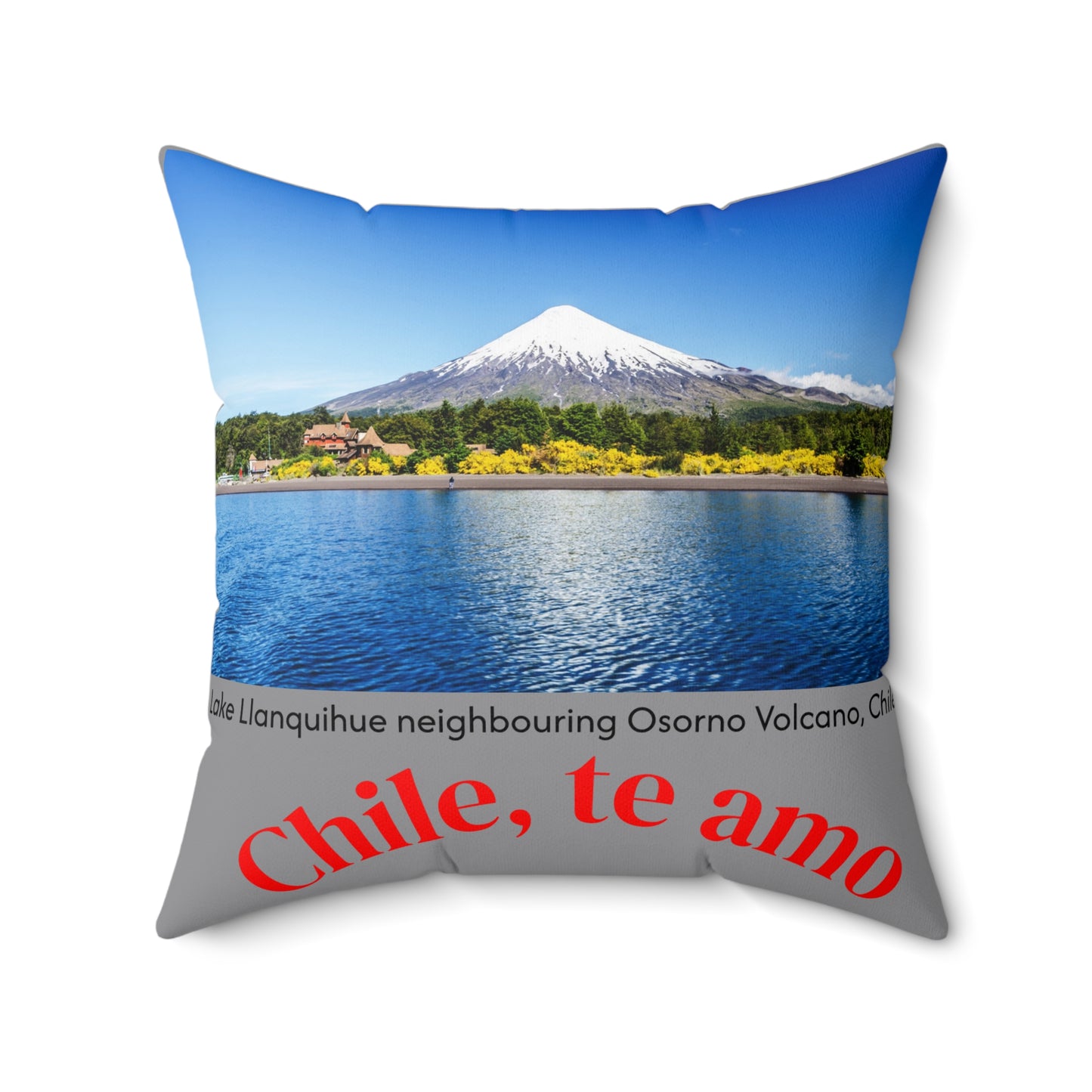 Decorative Pillow - Grey tone - Chilean Art