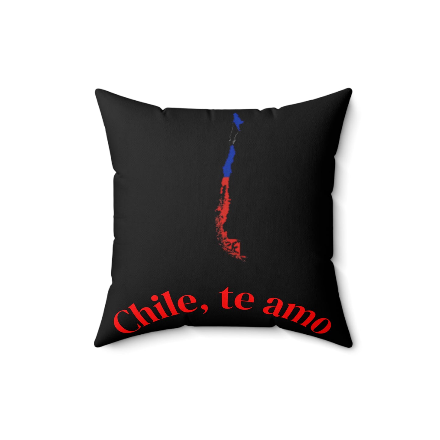 Decorative Pillow - Black tone - Chilean Art