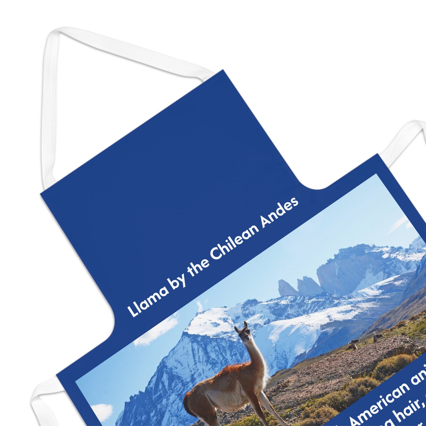 Apron - King Blue Apron