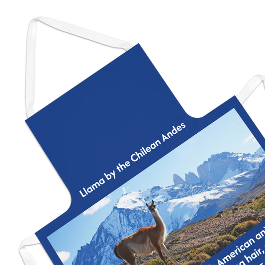 Apron - King Blue Apron