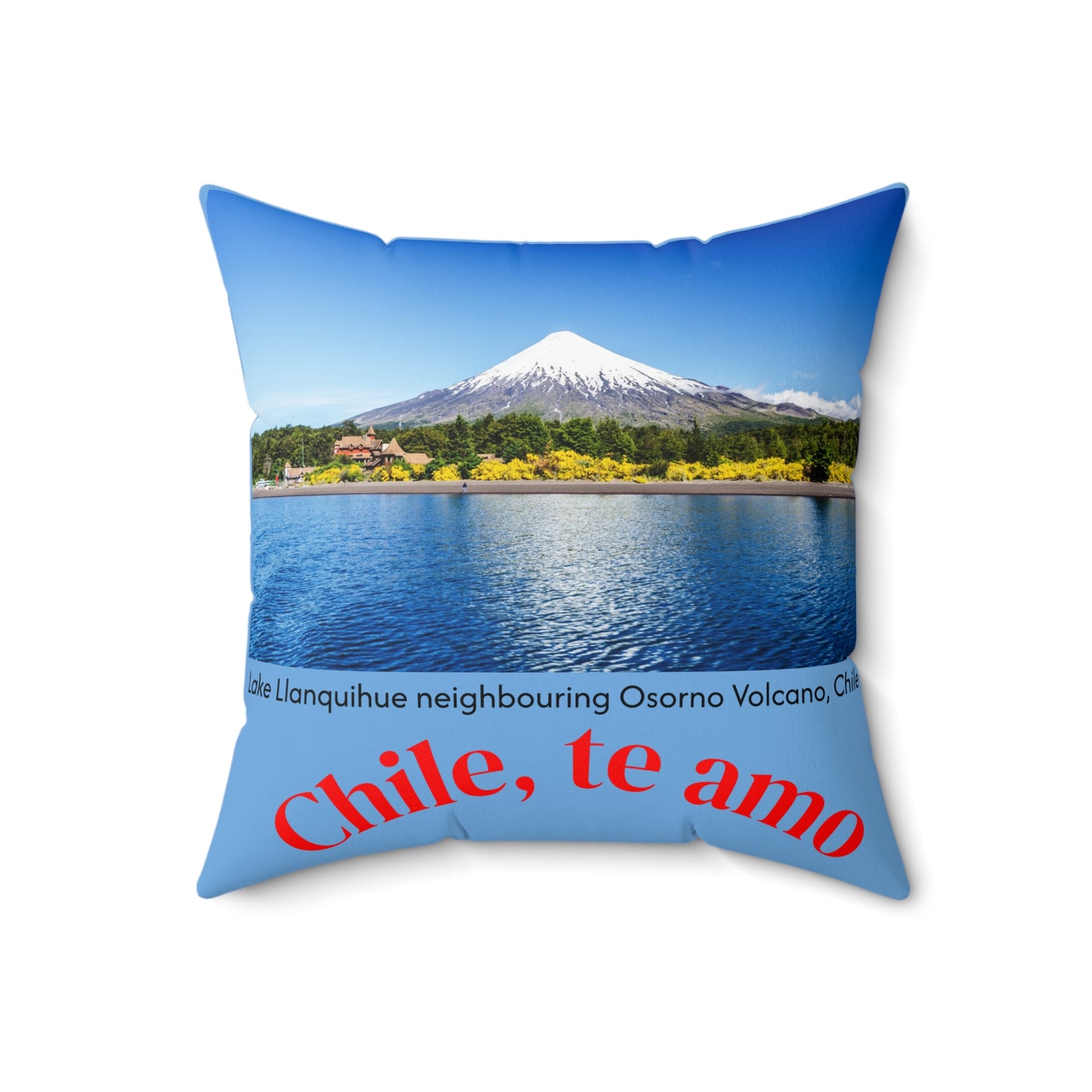 Decorative Pillow - Blue tone - Chilean Art